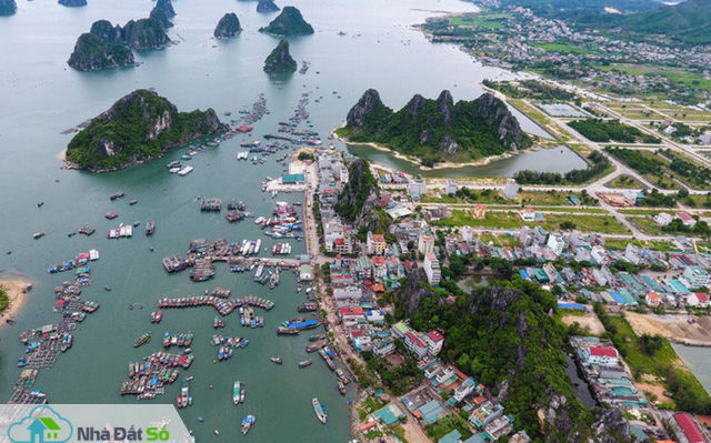 Nhà đầu tư hứng khởi với diễn biến Vân Đồn mở lệnh giao dịch BĐS từ 9/1/2019 - Ảnh 2. Nhà đầu tư hứng khởi với diễn biến Vân Đồn mở lệnh giao dịch BĐS từ 9/1/2019 - Ảnh 2.