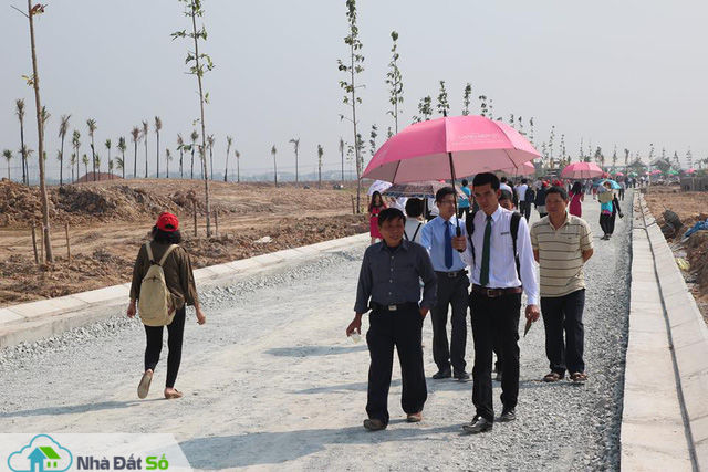 Đất nền vẫn là phân khúc làm “chủ” thị trường địa ốc năm 2019 - Ảnh 2.