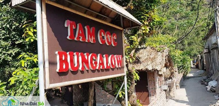 xay homestay trai phep trong vung di san trang an