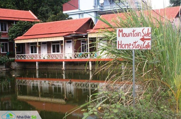 xay homestay trai phep trong vung di san trang an
