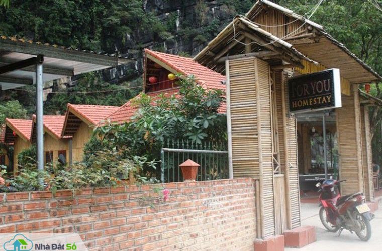 xay homestay trai phep trong vung di san trang an