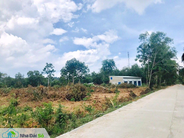 Đất Phú Quốc quay đầu giảm giá mạnh, 2019 là thời điểm nhà đầu tư mua vào? - Ảnh 2.