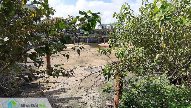 Bên trong siêu dự án tháp đôi treo 10 năm, Đà Nẵng tính thu hồi - Ảnh 7.