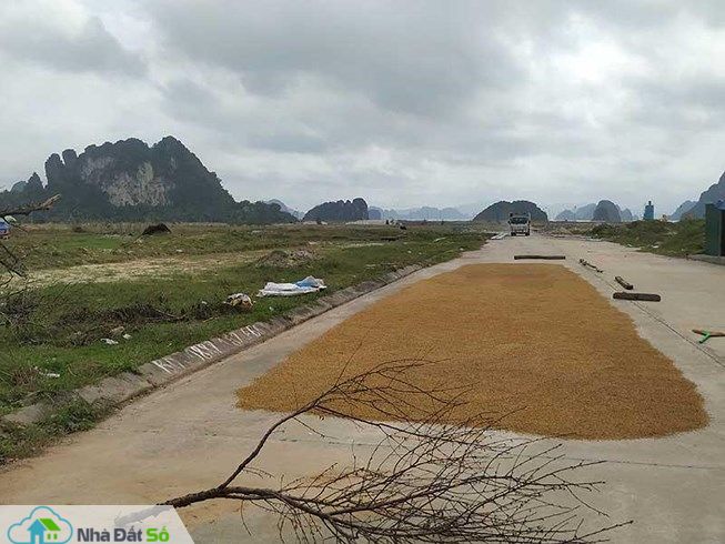 Đất Vân Đồn chỗ nguội ngắt, nơi bỏng tay - 1