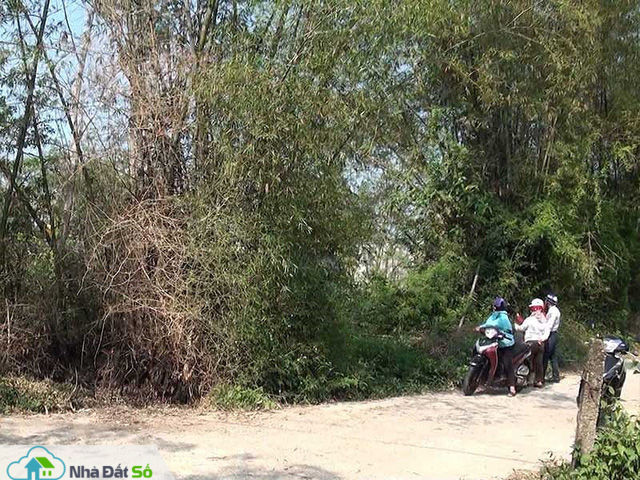 Cò đất náo loạn miền Trung: Bờ tre, gốc rạ đổi ra tiền tỉ - Ảnh 1. Cò đất náo loạn miền Trung: Bờ tre, gốc rạ đổi ra tiền tỉ - Ảnh 1.