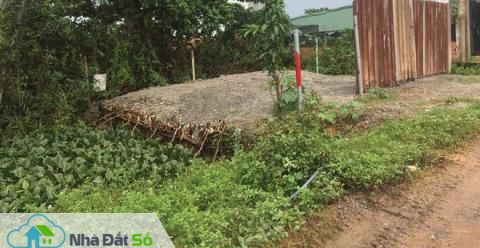 phân lô bán nền trái phép tại TP.HCM