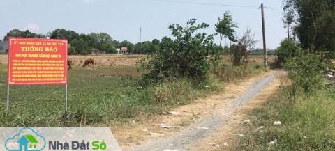 phân lô bán nền 