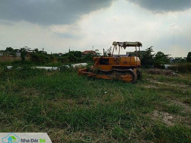 Dự án bánh vẽ giăng bẫy khắp vùng ven Sài Gòn - Ảnh 1.