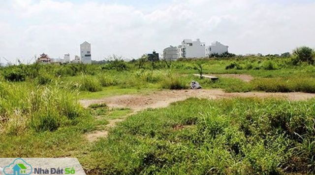Dự án bánh vẽ giăng bẫy khắp vùng ven Sài Gòn - Ảnh 3.