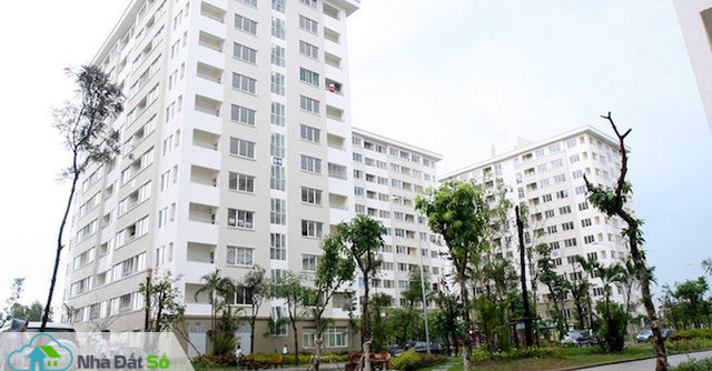 Dồn hết tiền mua chung cư, bán lỗ 500 triệu: Hối không kịp - Ảnh 1.