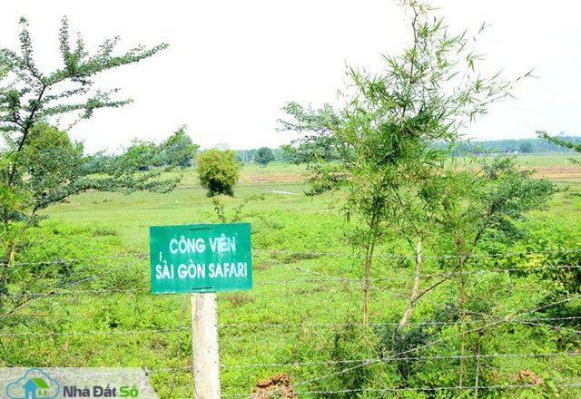  4 siêu dự án treo gần nửa đời người tại TP HCM - Ảnh 1.