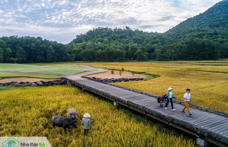 sân golf 18 hố