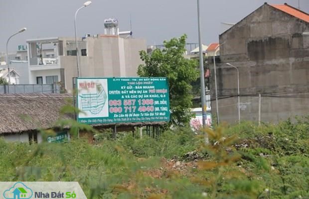đấu giá đất vàng