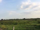 Bán Đất Xã Bình Mỹ, Củ Chi - 1865m2 Chính Chủ
