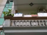 Bán Nhà 45M2 Võng Thị, Lô Góc, View Hồ Tây, Gara Ô Tô, Giá 6.9 Tỷ
