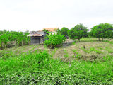 Cần bán 1000m2 đất khu dân cư Hưng Long Bình Chánh giá 1,6 tỷ