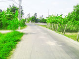 Bán 2900m2 đất mặt tiền đường nhựa 8m Bình Chánh, giá 3,8 tỷ
