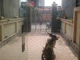 Cho Thuê Nhà 5 Tầng 7 Phòng Ngủ Gần Dự Án Vinhome Imperia Hải Phòng