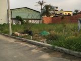 Bán lô đất thổ cư đường 30, Phường Linh Đông, Quận Thủ Đức. Giá: 2,05 tỷ.