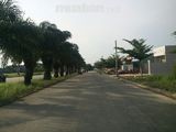 Bán gấp lô đất 130m ,SHR,Cầu Xáng đường tỉnh lộ 10, bao giá rẻ hơn giá thị trường...