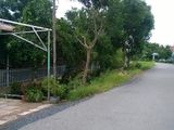 3728m2 mặt tiền đường nhựa,12m hưng long,bình chánh
