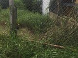 Cần bán gấp 2860 m2 mặt tiền đường Hóc hưu, Quy Đức, Bình Chánh.