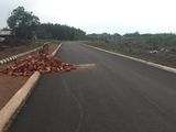 Cần Bán Nền Đất Mặt Tiền Đường 8m Liền Kề Khu Công Nghiệp Giang Điền