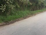 Cần sang lại 600 m2 đất vườn mặt tiền đường 3B - Long Thượng, Bình Chánh