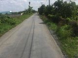 Cần Sang Gấp 1500m2 Đất Vườn Quy Đức, Bình Chánh.