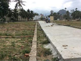 Bán Đất Xã Ngay Đập Tràn Đường Cầu Dứa Phú Nông Bên Hông Vĩnh Điềm Trung. Quy Hoạch Đường 20M