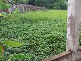 Bán Đất Thổ Cư Giá Rẻ Đường Đoàn Nguyễn Tuân, Bình Chánh 250m2 Chỉ 1,2 Tỷ