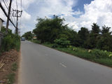 Bán Nhanh 4 Lô Đất Gần Quán Tràm Chim: 235tr/ 1 Nền. Đường 5m, Bao Gpxd.