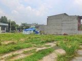 Bán 6000m2 Đất Giá Rẻ Ở Sau Cây Xăng Hoa Y, Gần Chung Cư Nhiệt Điện Vĩnh Tân.