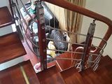 Độc!! Khu Vực Bưởi, Gara, Ô Tô Vào Nhà, Phân Lô, Kinh Doanh, Đẳng Cấp.