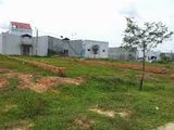 Cần Tiền Cho Con Đi Học Nên Cần Sang Gấp Lô Đất Tại Khu Đô Thị Mỹ Phước 3 Giá 470Tr