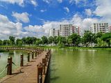 Đang Tồn Tại Một "Thiên Đường" Giữa Lòng Sài Gòn.