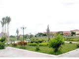 Bấn Gấp Đất Thổ Cư 200M, Cát Lái Q2