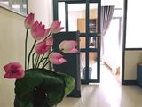 Cho Thuê Căn Hộ Dịch Vụ Quận 2