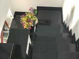 Nhà Hxh Tô Hiến Thành 39m2 1 Trệt 2 Lầu 3pn 5 Tỷ.