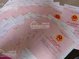 Bán Đất Nền Phú Quốc