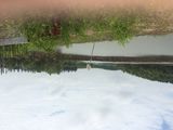 Đất Nền Cần Giờ Mặt Tiền Đường Lương Văn Nho 7tr/M Thổ Cư 100%