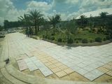 Đất Thổ Cư, Diện Tích Đa Dạng 5×17, 6x21, 6x23- Sổ Riêng Từng Nền, Xdtd