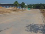 Bán Gấp Lô Đất Mặt Tiền Đường Oto Diện Tích 150m2