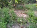 Đất Ở Huyện Trảng Bàng, Tây Ninh