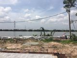 Bán Đất An Phú Đông Ven Sông Dt: 66 M2 Lh: 0905636448