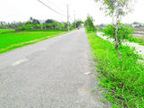 Bán 1100m2 Ngay Ngã Tư Nguyễn Văn Linh Quốc Lộ 50