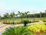 Thật Dễ Dàng Sở Hữu 1 Vị Trí Tuyệt Đẹp Chỉ Với 3,9Tr/1M2
