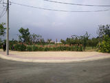Bán Đất Khu An Phú Đông Village Đg Nhựa 6m , Sổ Hồng Riêng