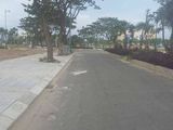 Bán Gấp Lô Đất Chính Chủ Dự Án Hải Châu Center Ngay Trung Tâm Đà Nẵng