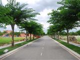 Đất Nền Khu Đô Thị Mới Long Hưng
